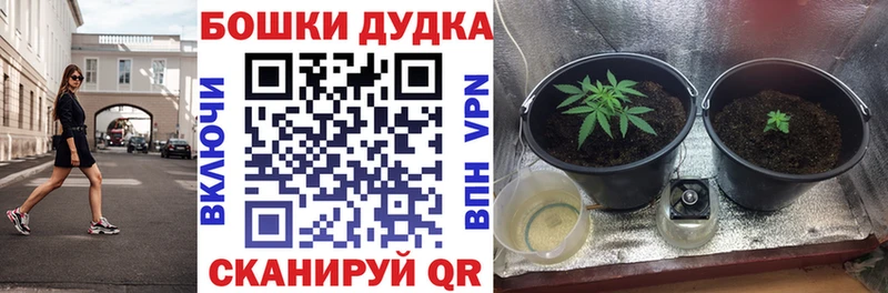 Марихуана VHQ Астрахань